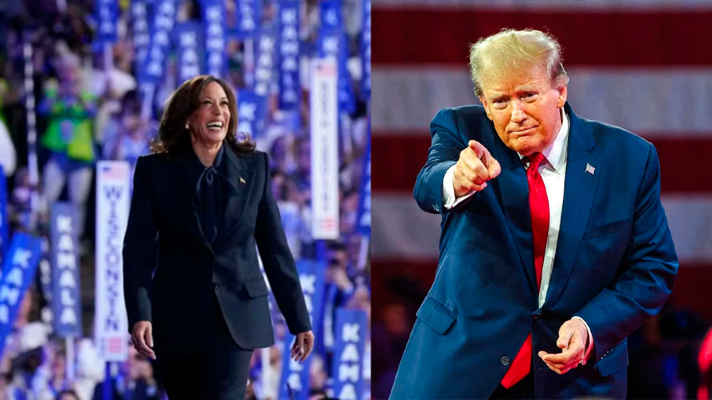 Kamala ou Trump: quais são os efeitos para a economia brasileira e os impactos no dólar, na bolsa de valores e nas taxas de juros.06-11-2024